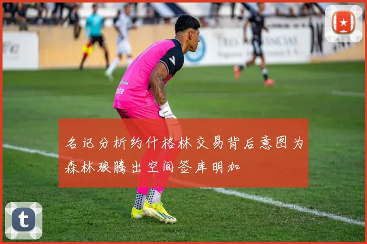 名记分析约什格林交易背后意图为森林狼腾出空间签库明加